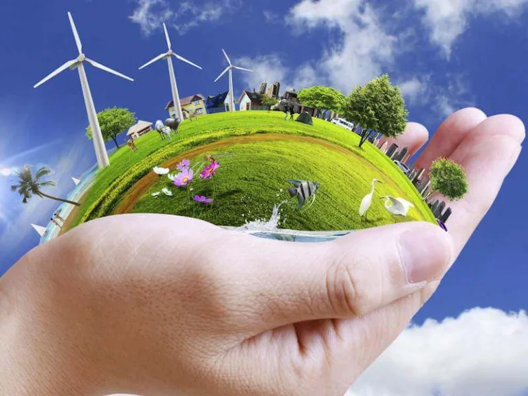 environmental sustainability