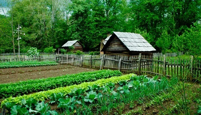 eco-friendly farming
