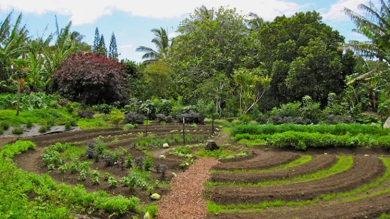permaculture